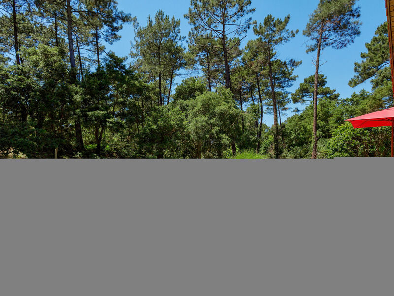 Clairière Aux Chevreuils