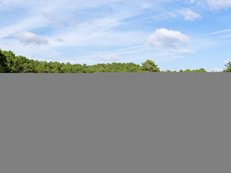 Clairière Aux Chevreuils