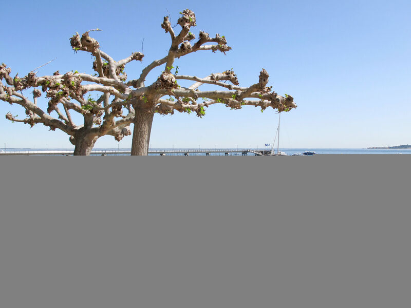 Résidence Las Delicias