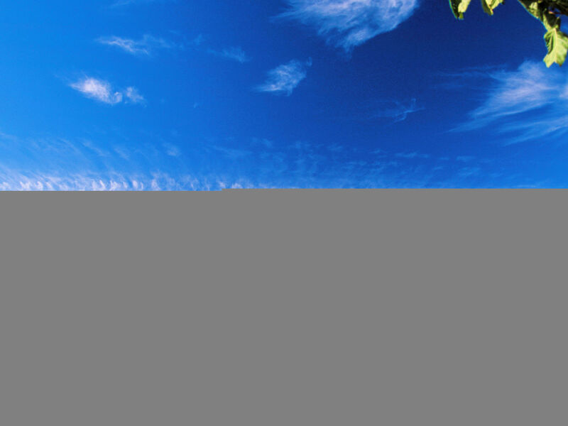 Residence Port Minervois