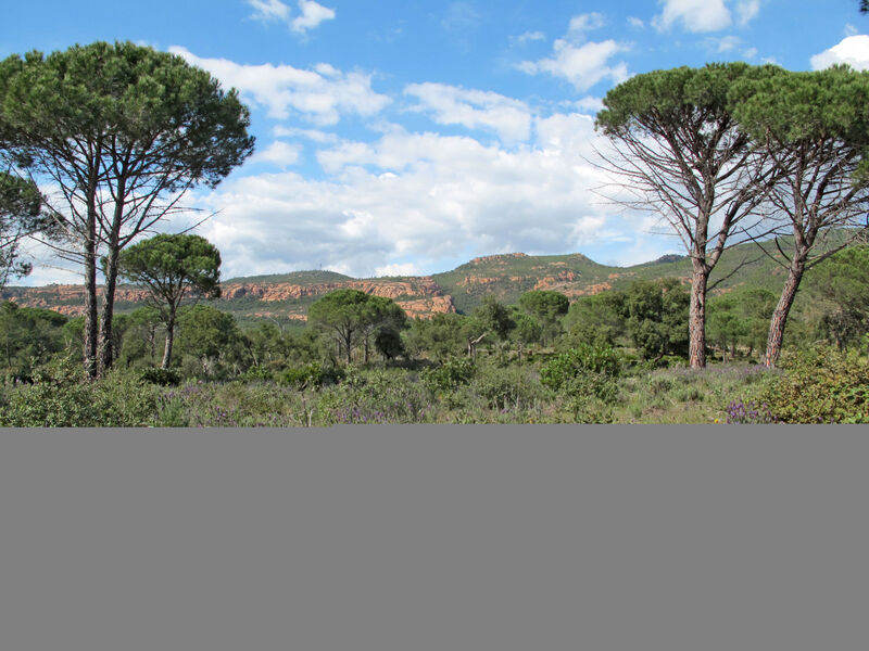 Le Clos D'Azur No. 33