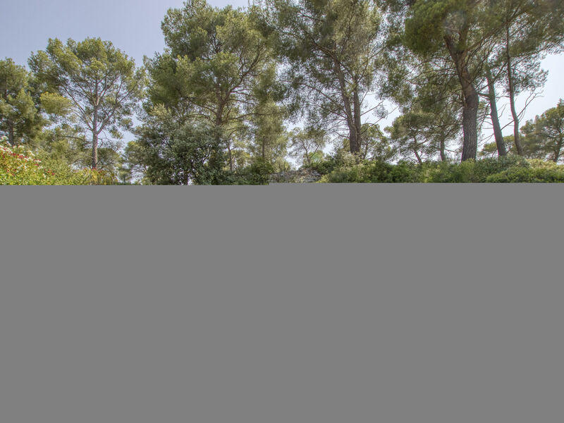 Le Puit Des Oliviers 1