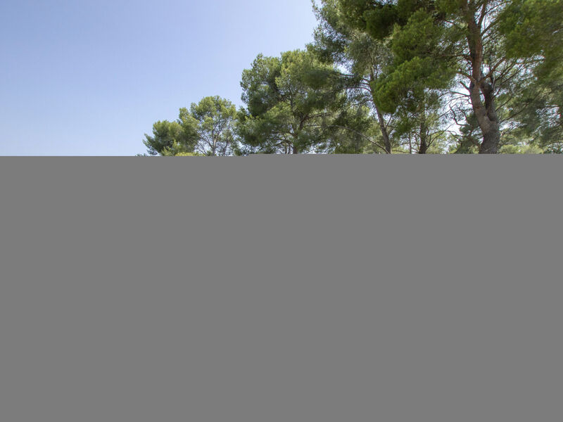 Le Puit Des Oliviers 1