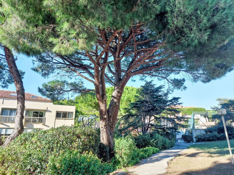 Les Marines D'Aryana