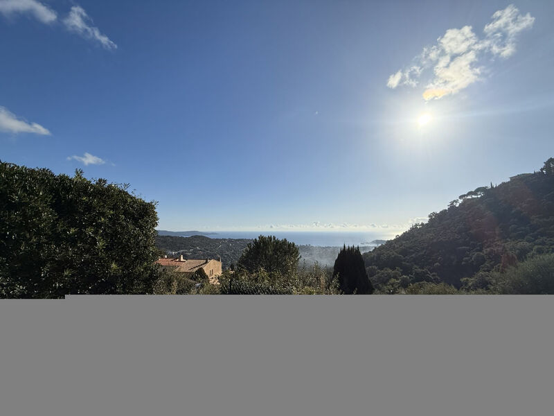 Domaine Des Collieres