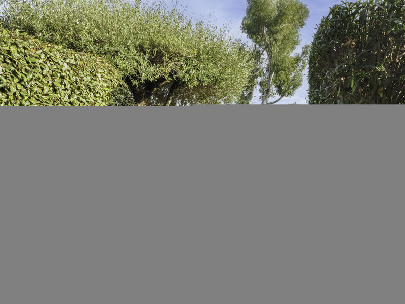 Les Jardins De La Mer