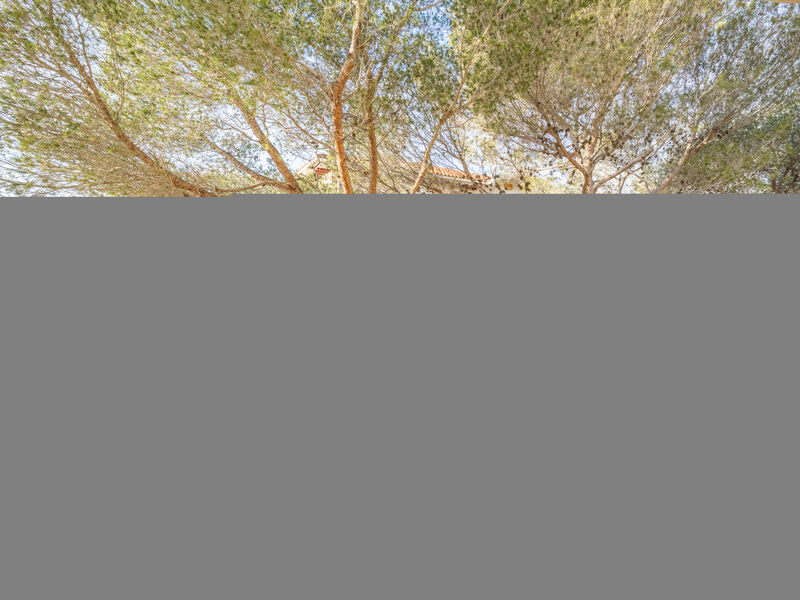 Les Terrasses De La Mer