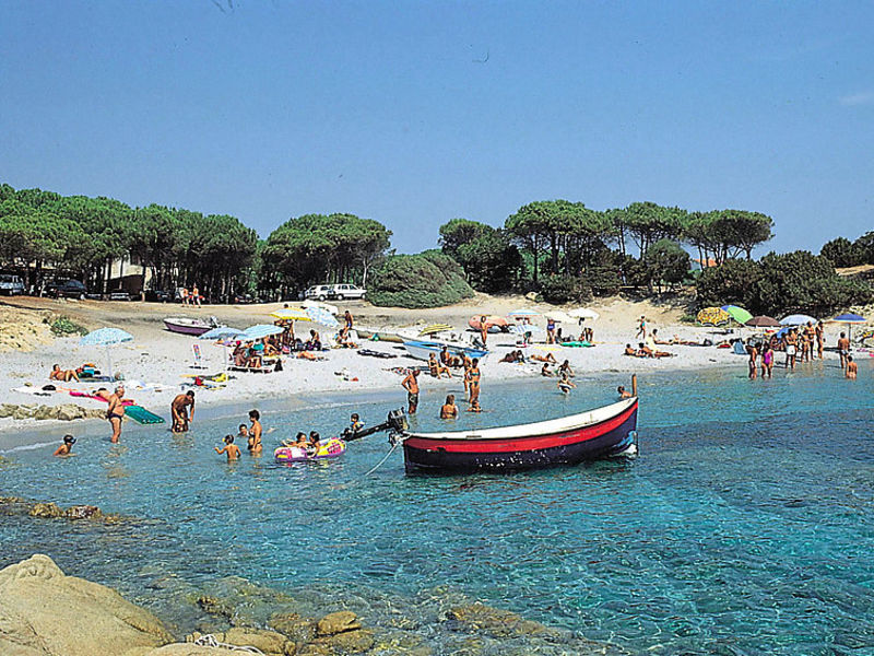 Gli Ontani