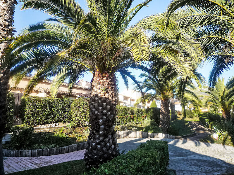 Le Jardin De Matisse