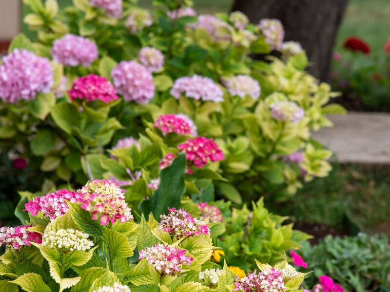gemütliche und moderne Wohnung