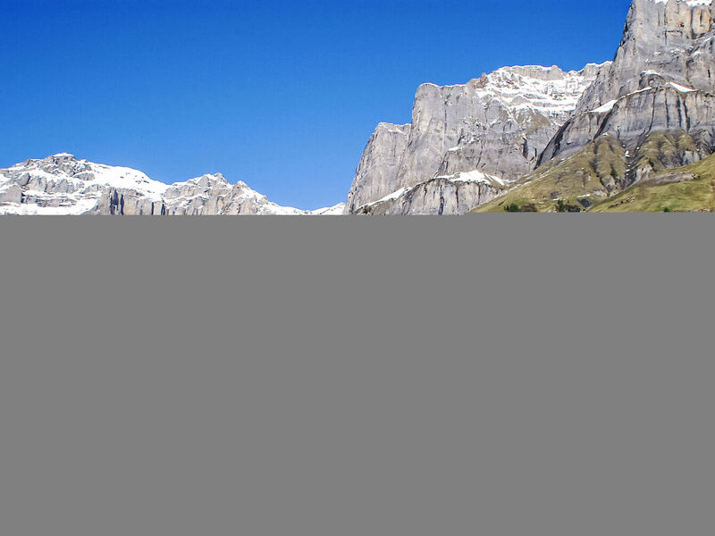 Ringstrasse (Utoring)