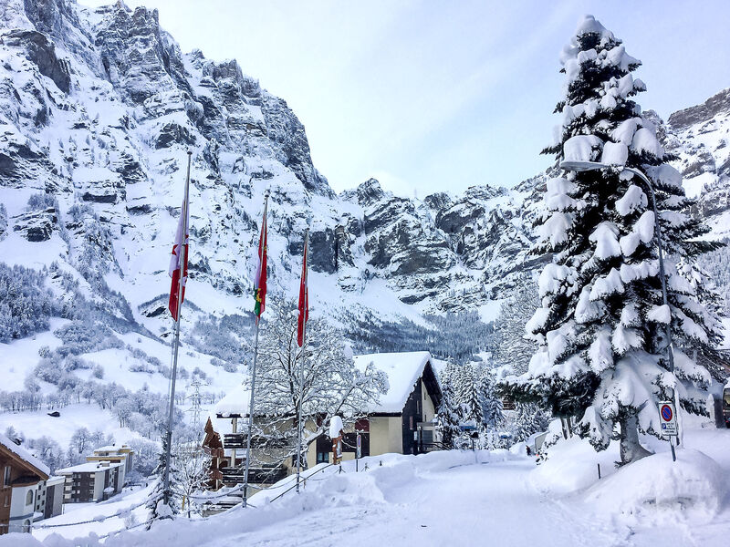 Ringstrasse (Utoring)