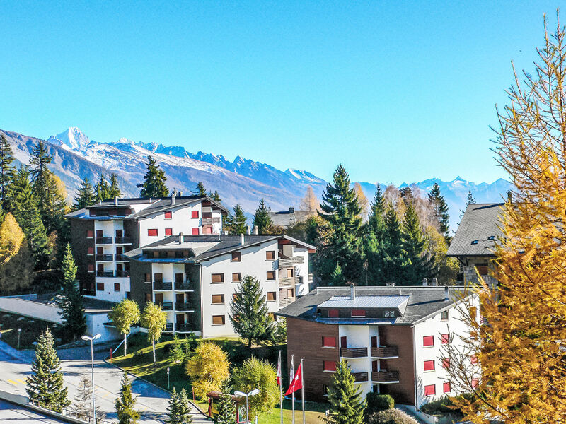 Violettes-Vacances A/B/C