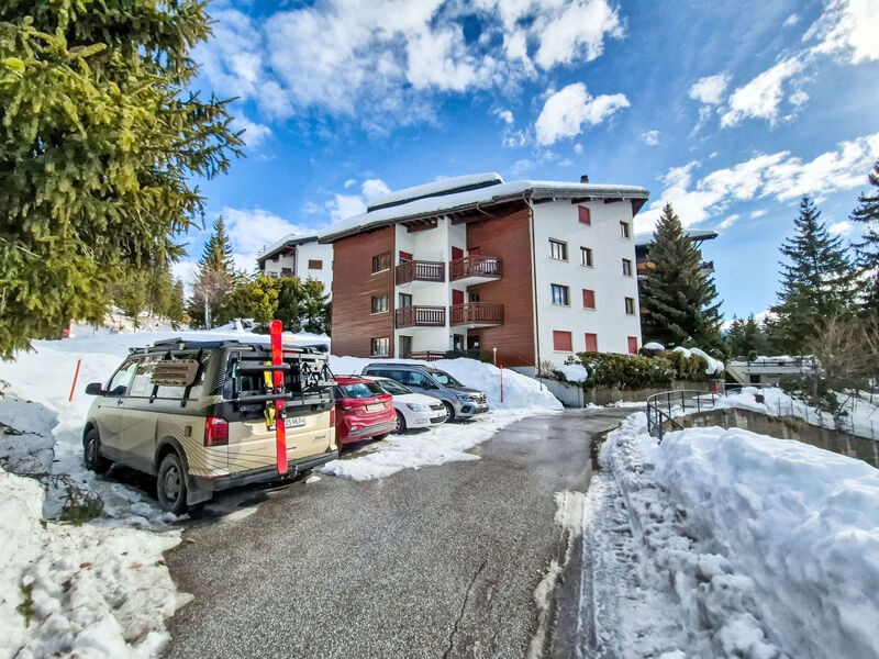 Violettes-Vacances A/B/C