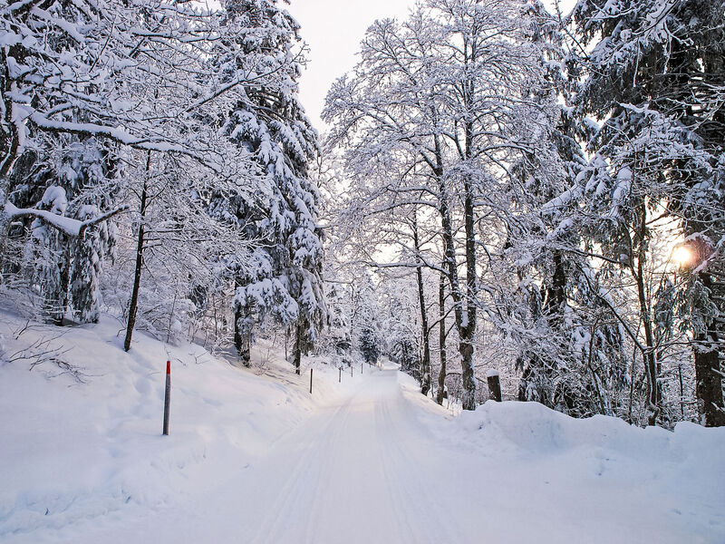 Chalet De La Vue Des Alpes