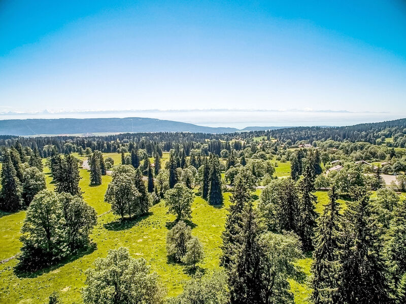 Chalet De La Vue Des Alpes