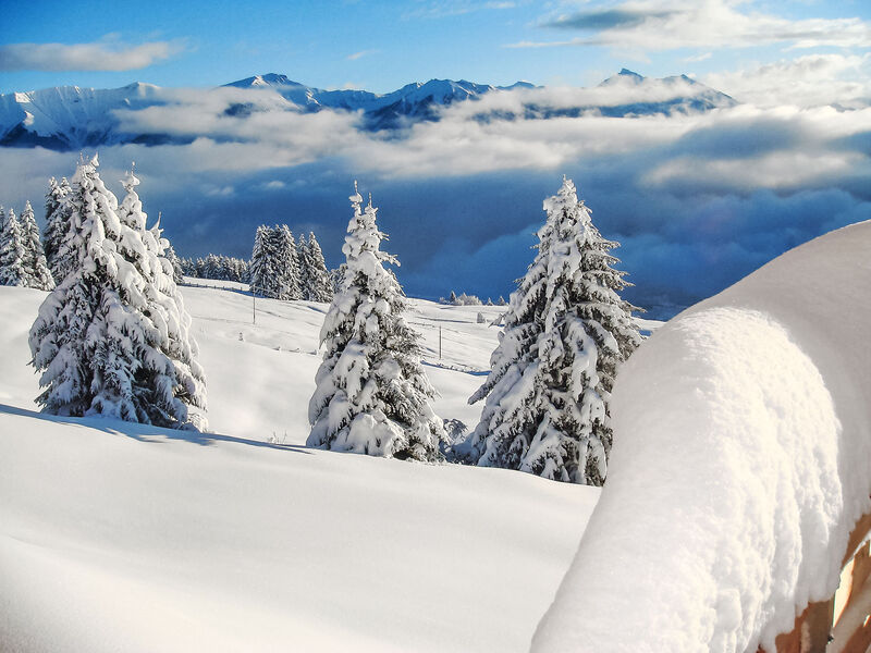 Superior Aclas Maiensäss Resort