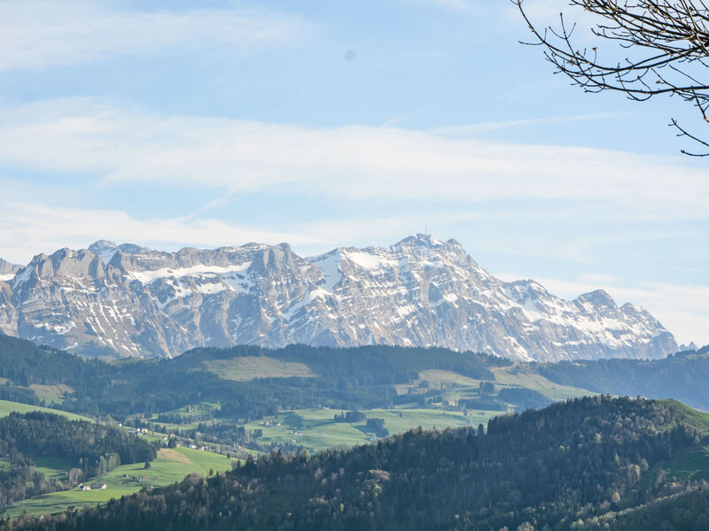 Alpsteinblick
