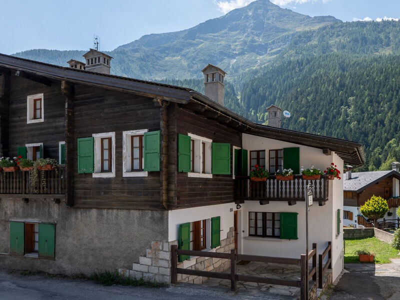 Wohnung im Dorfzentrum Ronco 1