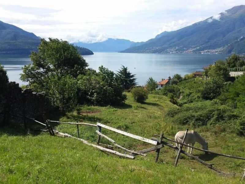 Domaso Surfview - schönes Ferienhaus