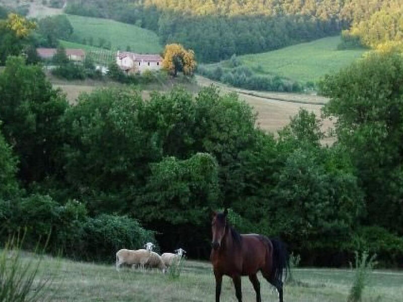 Ferienapartment Baita