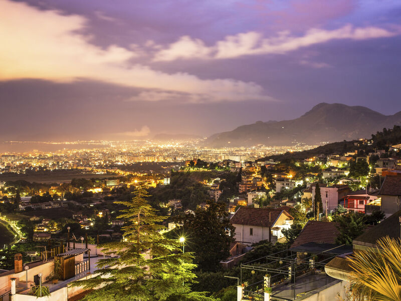 MaXelA Penthouse Green