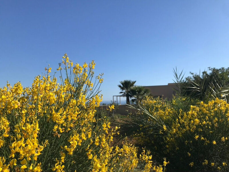 Graffeo Häuser - Haus Jasmin