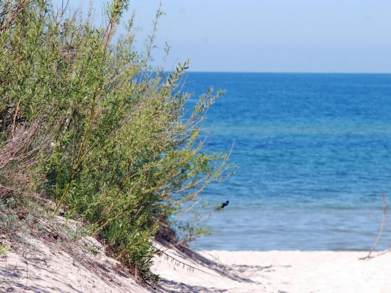 Stilvolles Haus ganz nah am Meer