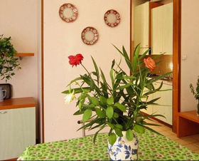 Residence Punta Gro