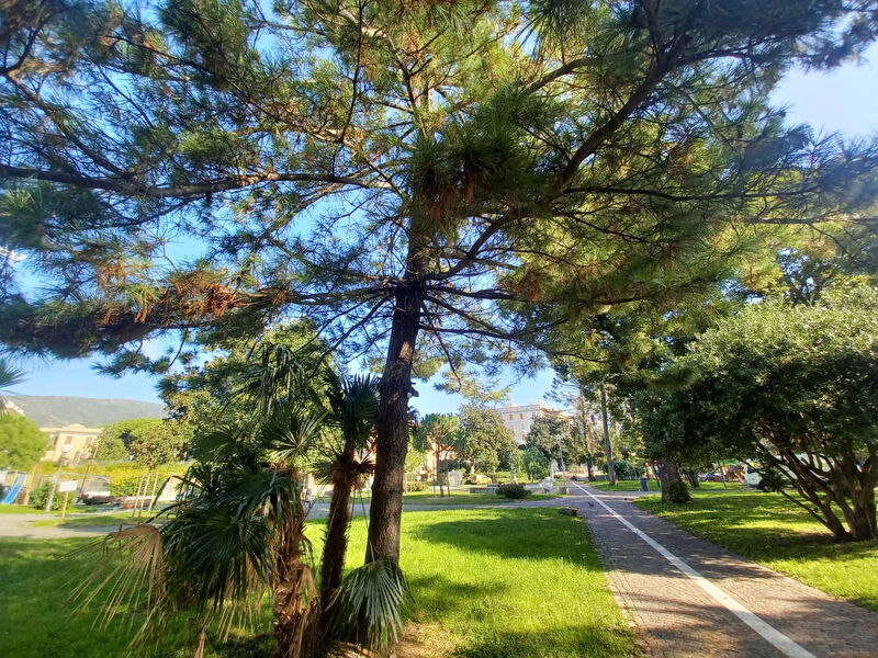 Dům Holiday Sea by Holiday World