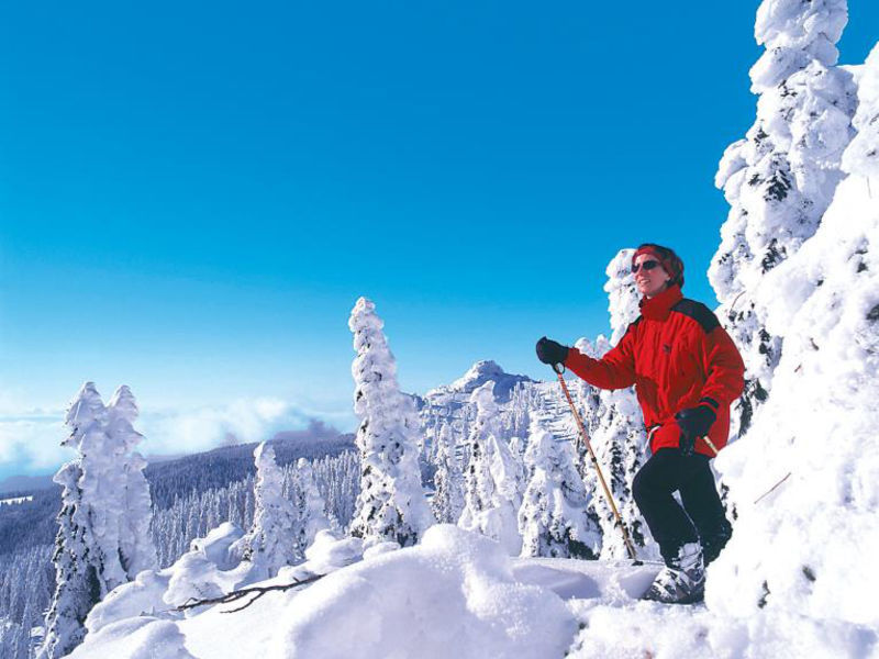 Ferienhotel Waldspitze