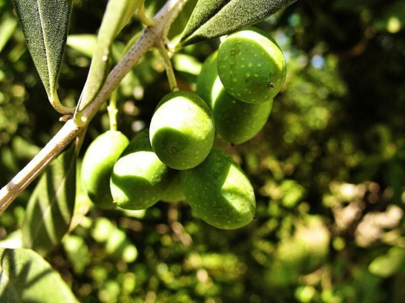 Appartement für 3 Personen