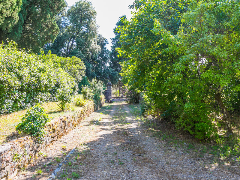 Vila Mandri