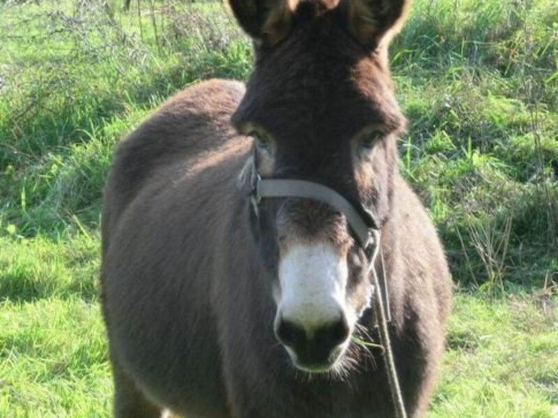 Oase der Ruhe in der Natur