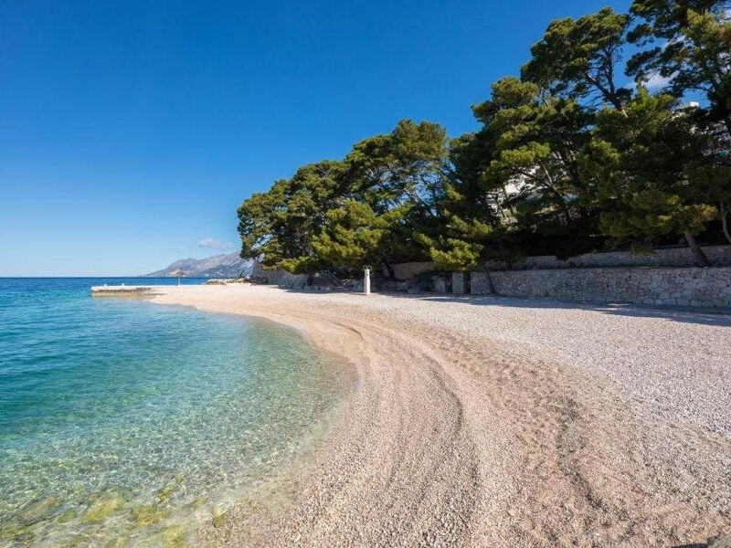 Bluesun Mala Berulia