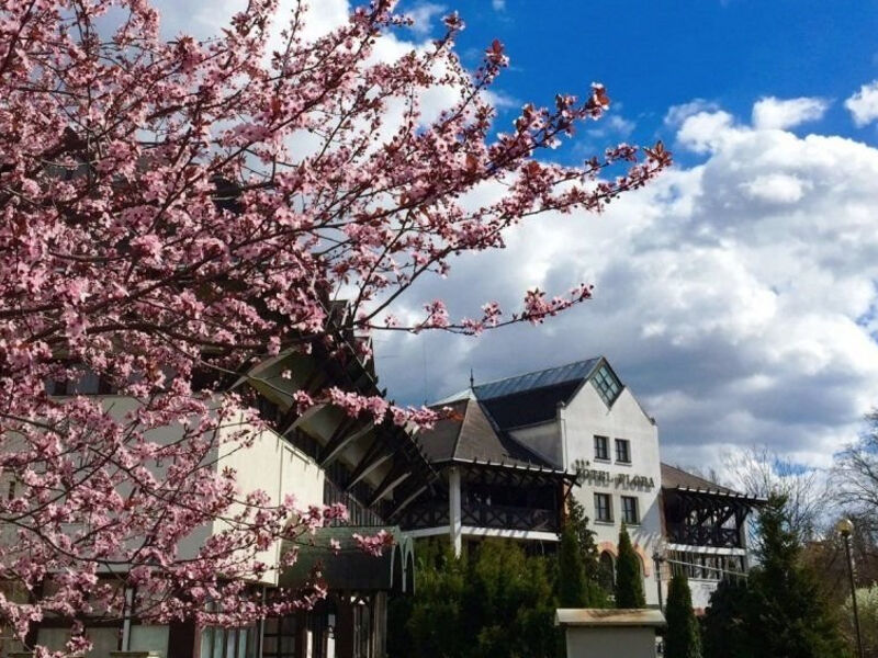Hunguest Hotel Flóra