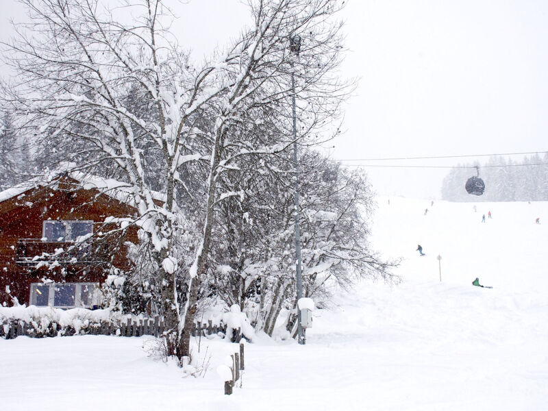 Chalet Nikola