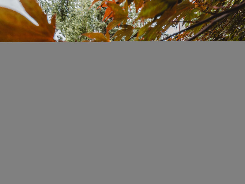 Ferienappartment Brandner