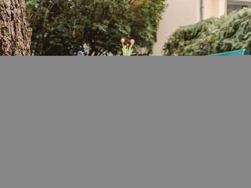 Ferienappartment Brandner