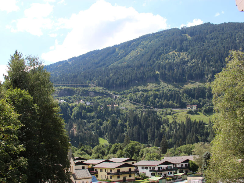 Pflaume
