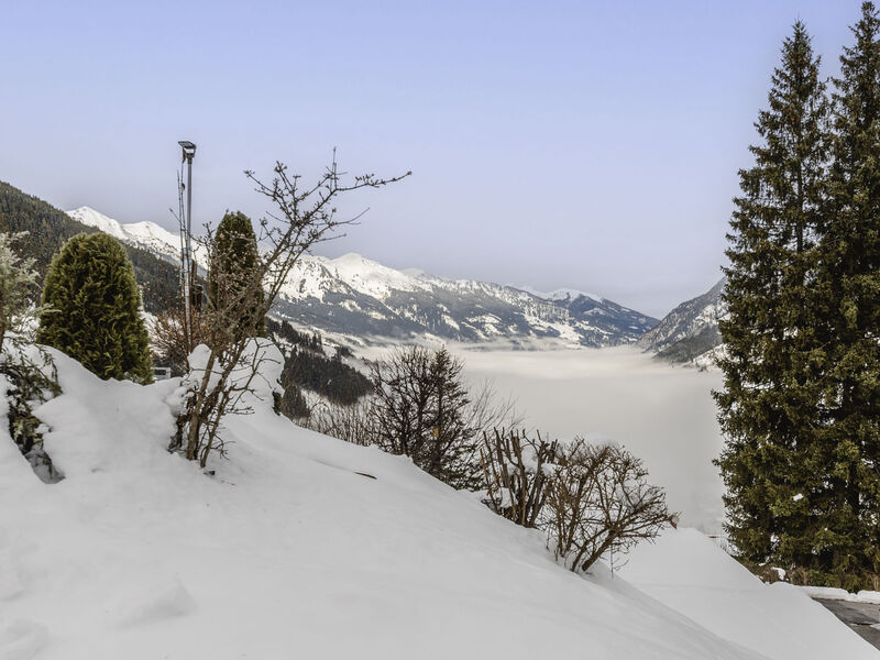 Alpenapartment
