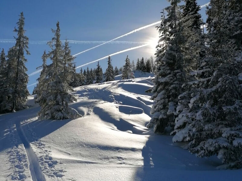 Chalet Kreuzkogel