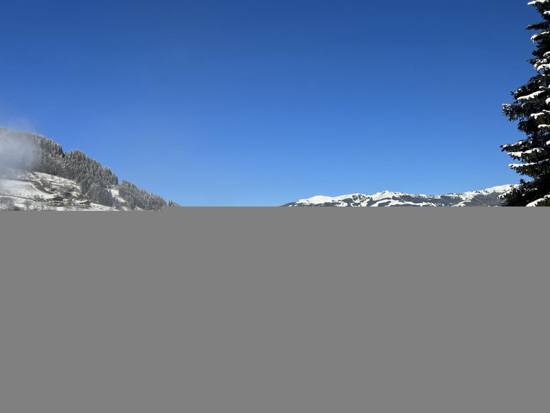 Gletscherblick incl. Summercard