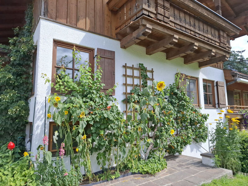 Martinsklause