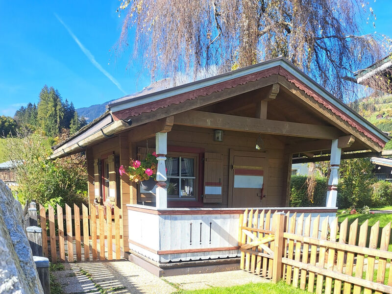 Ferienhaus Wildkogel