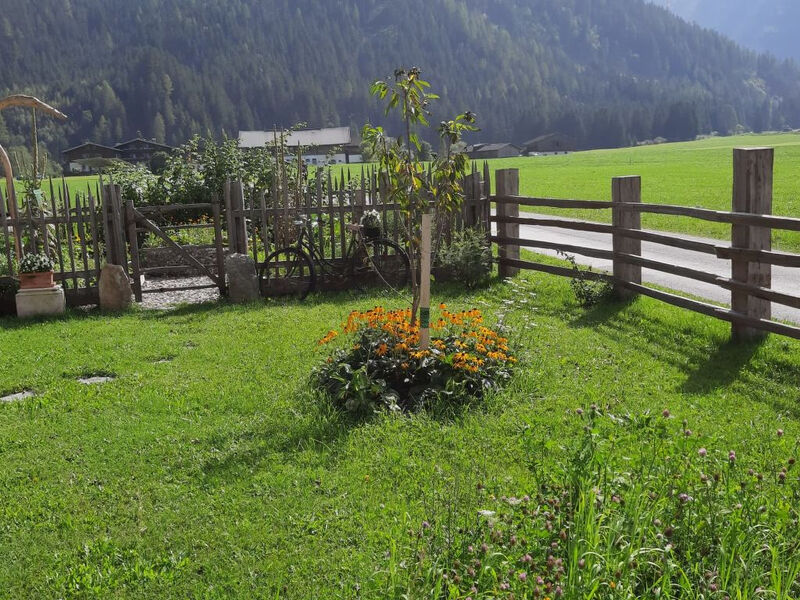 Althaus
