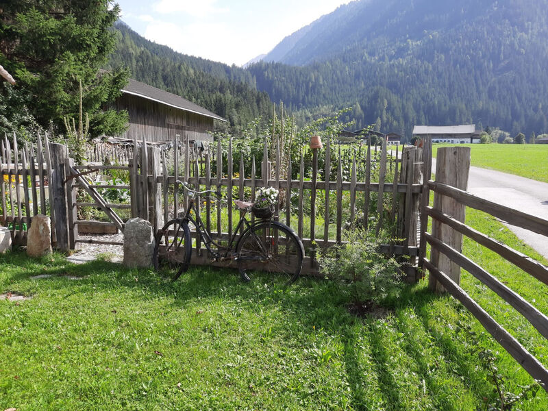 Althaus