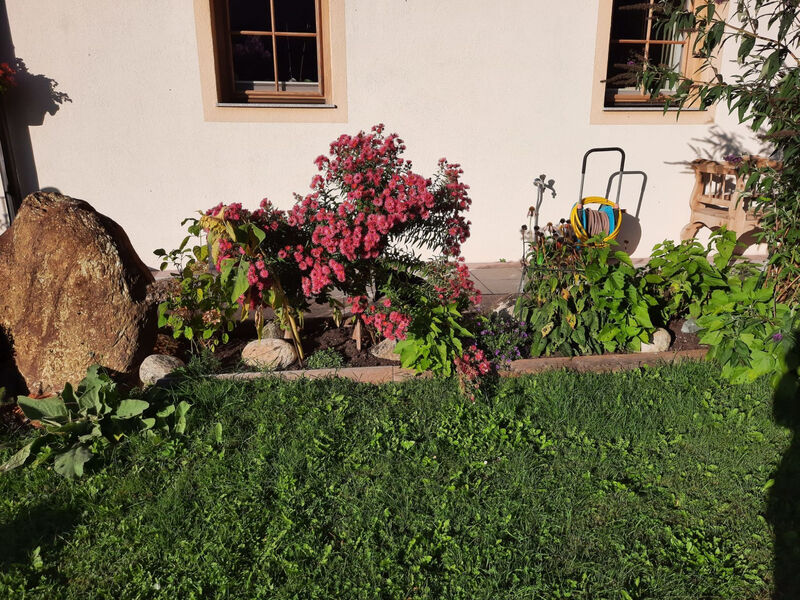Althaus