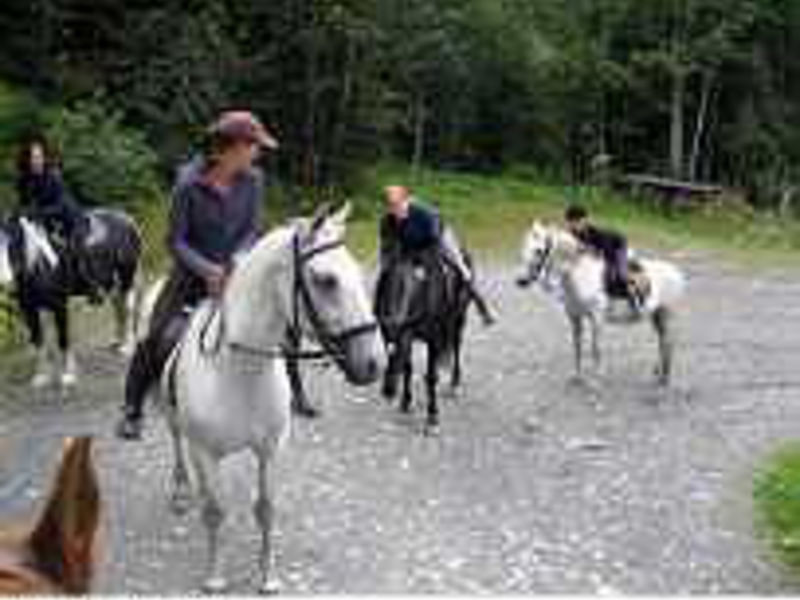 Hotel Ferien- und Reitanlage Altachhof