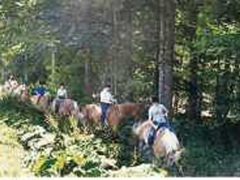 Hotel Ferien- und Reitanlage Altachhof